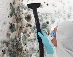 Why You Should Choose Our Mold Remediation Services in Raubsville, PA